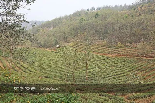 云南沧源靠近哪个国家,云南沧源最好玩的地方