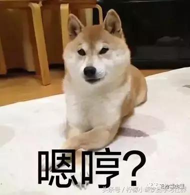 柠檬开店新手入门教程,经营之道实训攻略