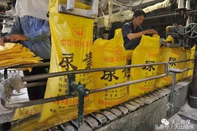 最近二甲戊灵哪里有,查一下今天尿素价格