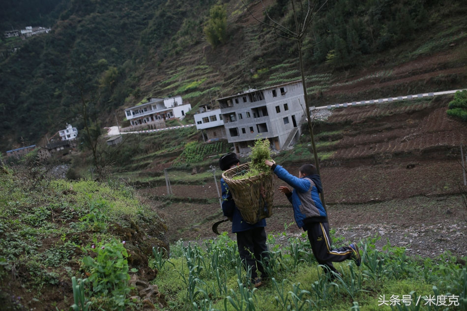 唇腭裂变帅,变帅的孩子