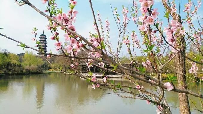 清明请假2天休息5天,清明小长假两天一夜出游攻略