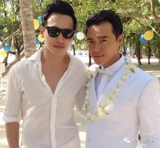 董璇高云翔陈思诚,陈思诚董璇