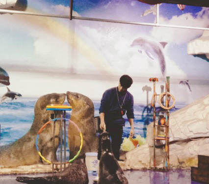 武汉东湖海洋世界项目,海昌极地海洋和东湖海洋