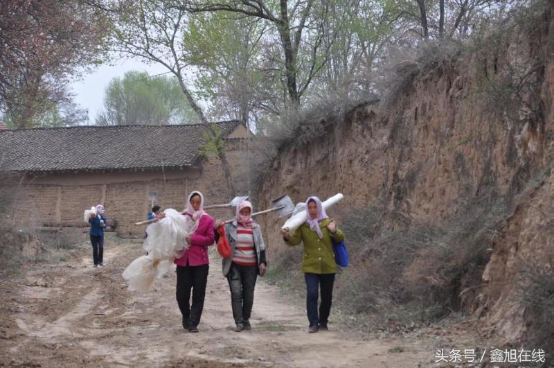 希望的田野歌曲大合唱,希望的田野歌曲舞蹈