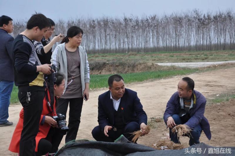 希望的田野歌曲大合唱,希望的田野歌曲舞蹈
