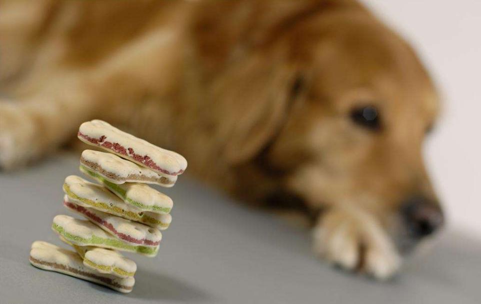 被甩了怎么安慰,被甩了难受怎么平复