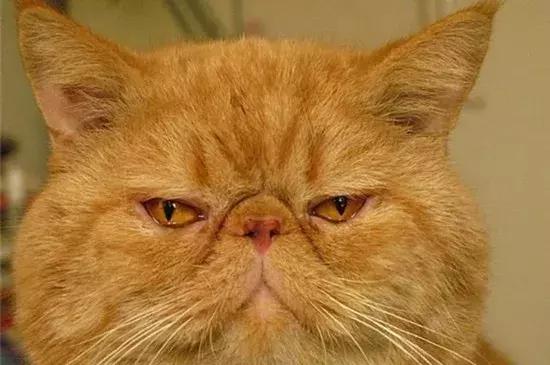 清明期间重大事件,清明事件曝光