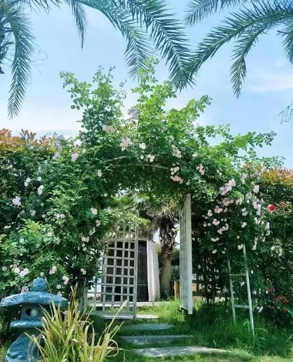 三亚房车租赁游,三亚租赁房车自驾