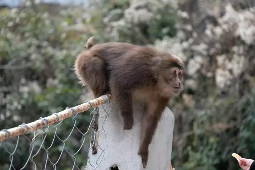 清明踏春一日游必去景点,踏春赏花景点最美推荐