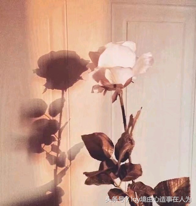 那些被富养的女孩后来都怎样了,被富豪送爱马仕的女孩