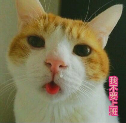 用手机有没有赚钱方法,用手机真实的赚钱