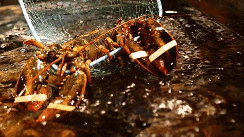 只会被模仿，从未被超越！MUJI这次又被苏宁盯上了！