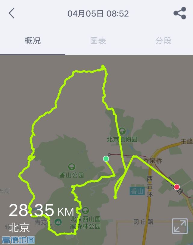 治脚气，先要肠胃调理顺，四月常吃这种能量菜，食补效果立竿见影