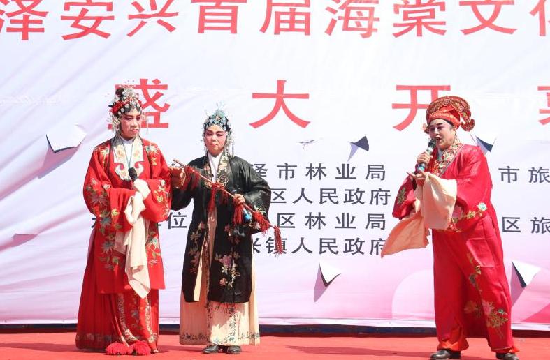 震撼千亩海棠绽芬芳,千亩海棠竞相开放