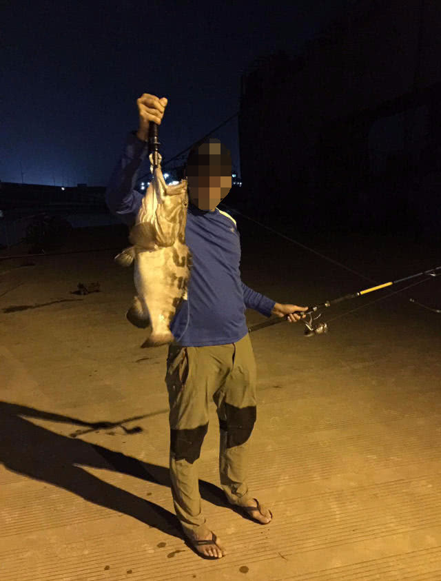 港口路亚石斑,港口巨型石斑