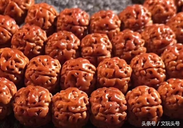 金刚和落地红最简单的辨认方法,落地红和金刚的区别图片欣赏