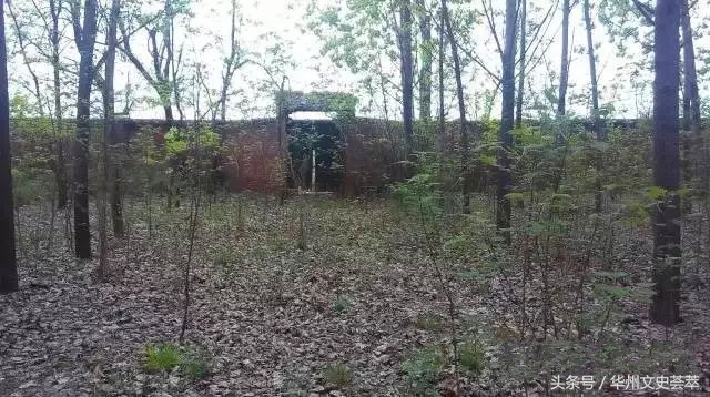 陕西省渭南市华县杏林镇建华小学,华州杏林校区