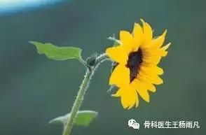 颈椎病健康科普短视频,颈椎病疾病科普