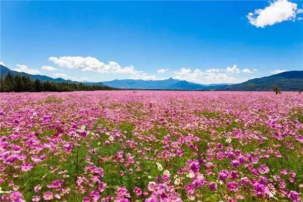 外地人不来丽江的10大理由！简直不能容忍……