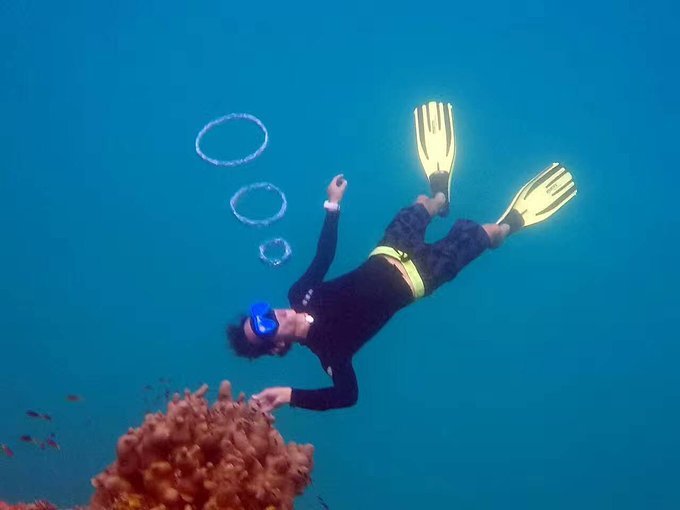 帕劳旅行的日记,帕劳的旅行日记