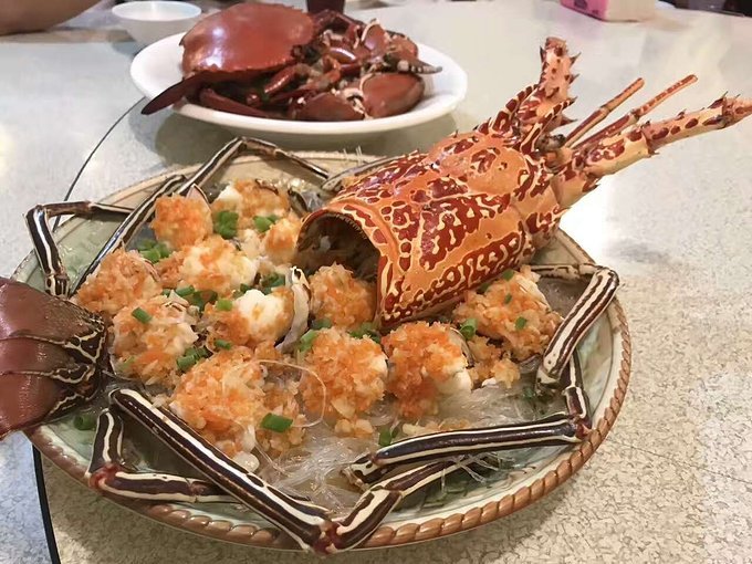 帕劳旅行的日记,帕劳的旅行日记