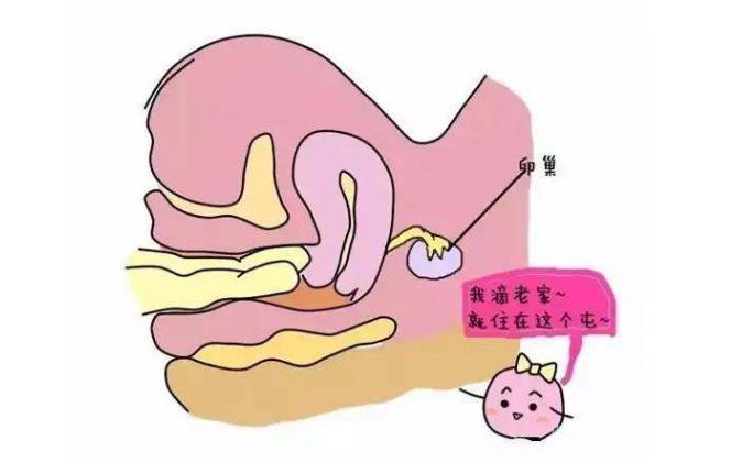 大龄女性生孩子会老几岁,女性生孩子最晚年龄限制