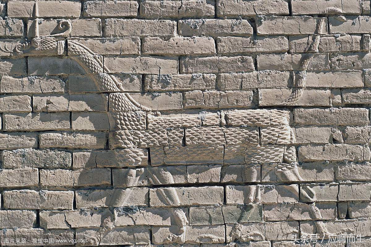 十二生肖怕人的生肖,蟑螂对应十二生肖什么动物