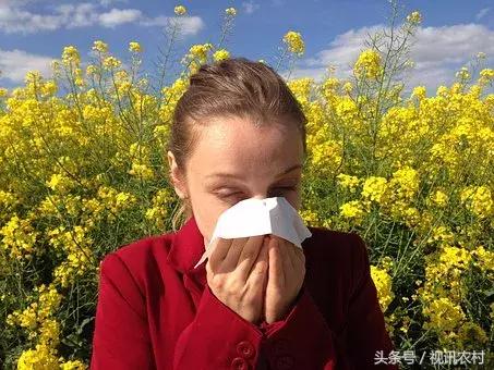 抗过敏小妙招,解决过敏的几个小妙招