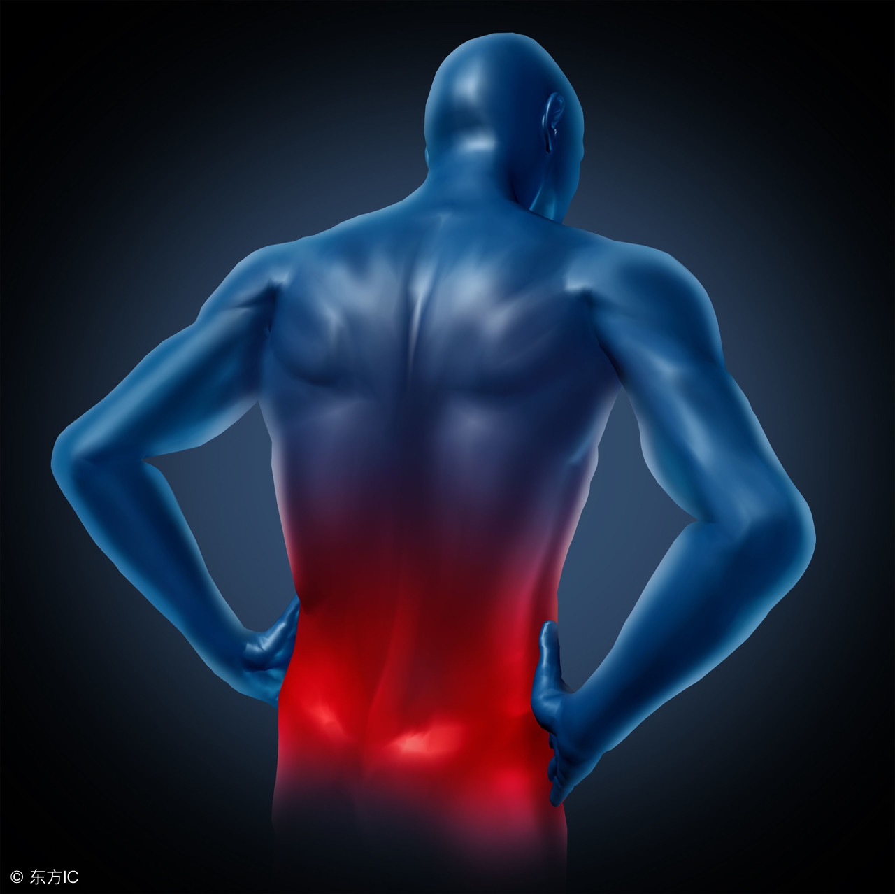 腰椎间盘突出最有效的锻炼方法,腰椎间盘突出公认最好的锻炼方法