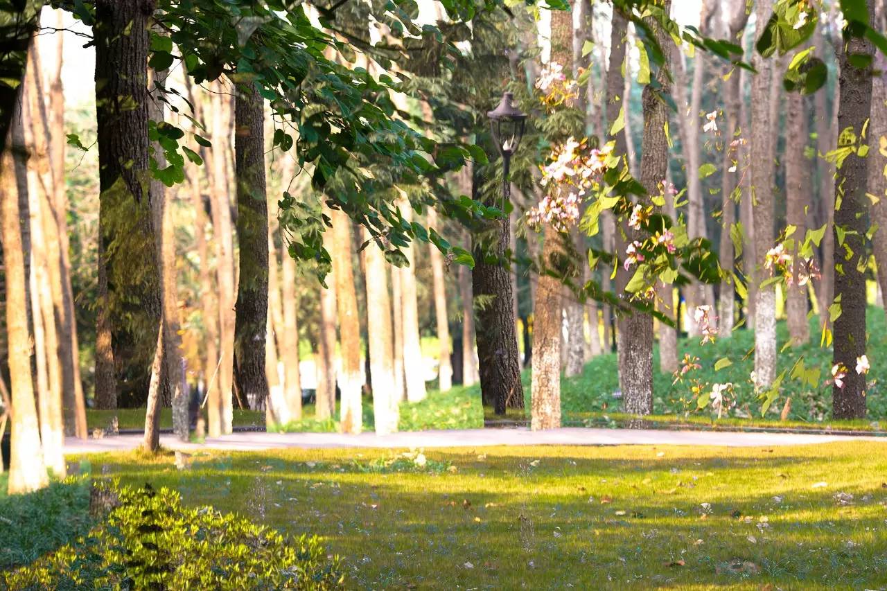 不会玩多曝摄影？看完这10个问题就会了