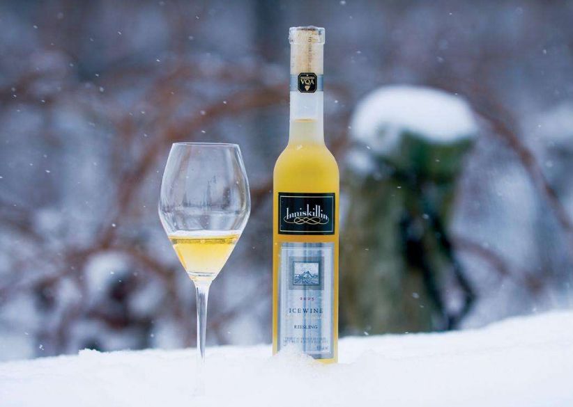 冰酒与甜酒的区别,冰酒甜酒多少钱一瓶