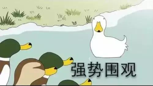 我和兔子还有桥钥匙造句,用兔子钥匙和桥造句真的有用么