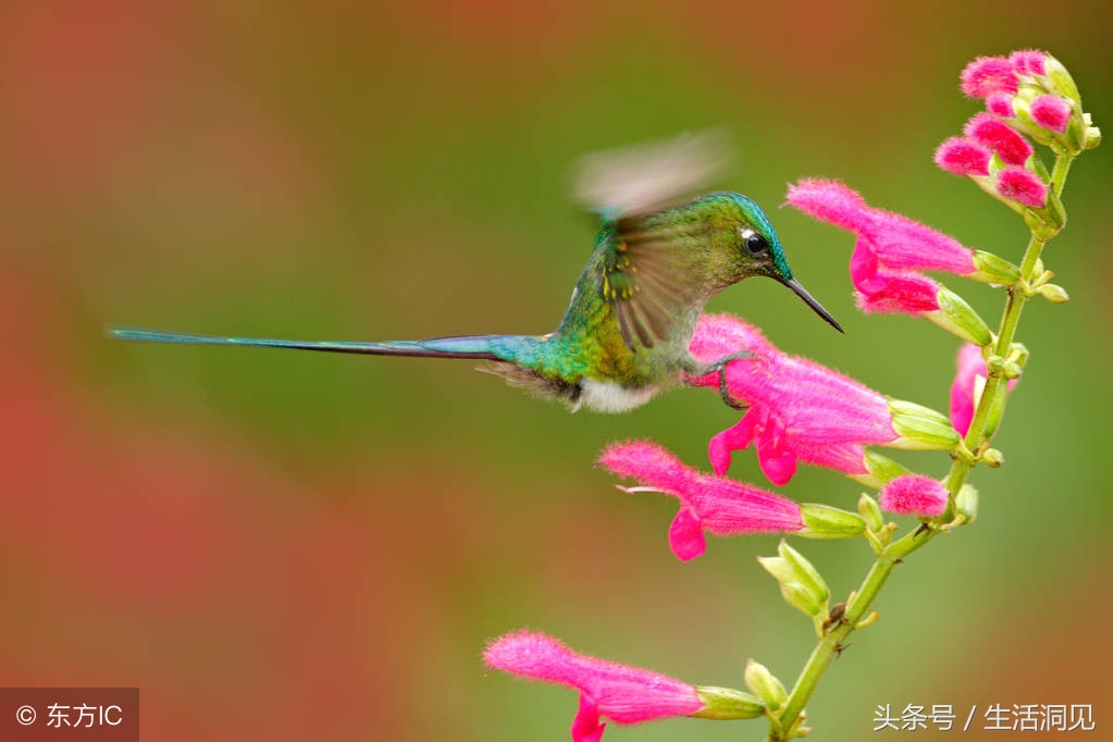 要想有出息凡事靠自己,要想有出息头上必须戴点绿