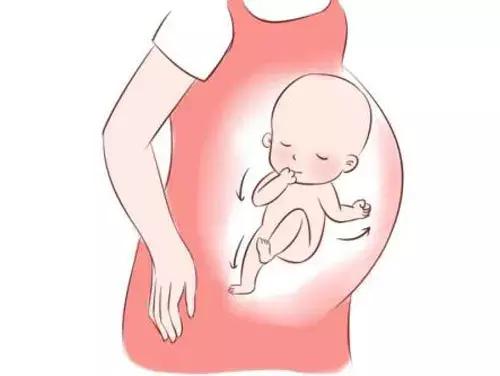 孕期胎动——宝宝健康的晴雨表