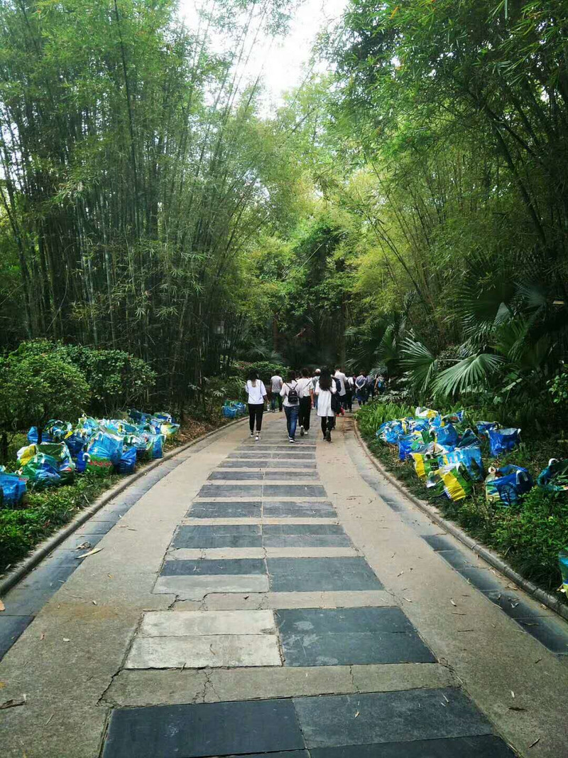 清明时节，醉美桂林6日游