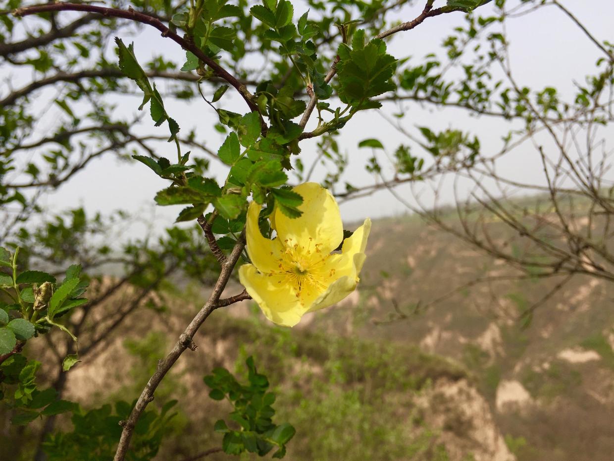 50岁改行职业规划,50岁改行能做什么