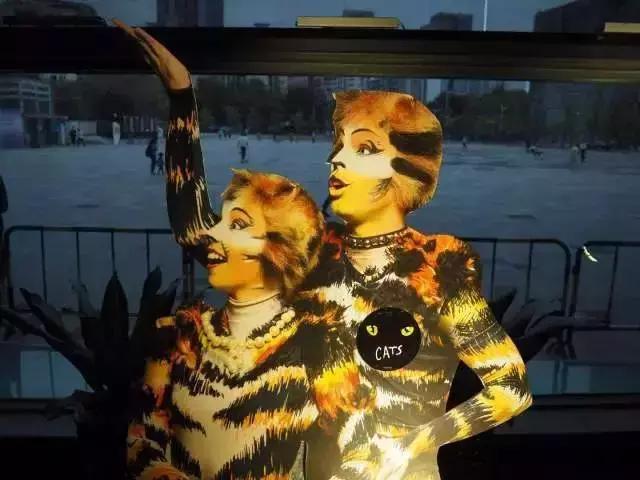 世界名著中的猫,盘点千奇百怪的猫