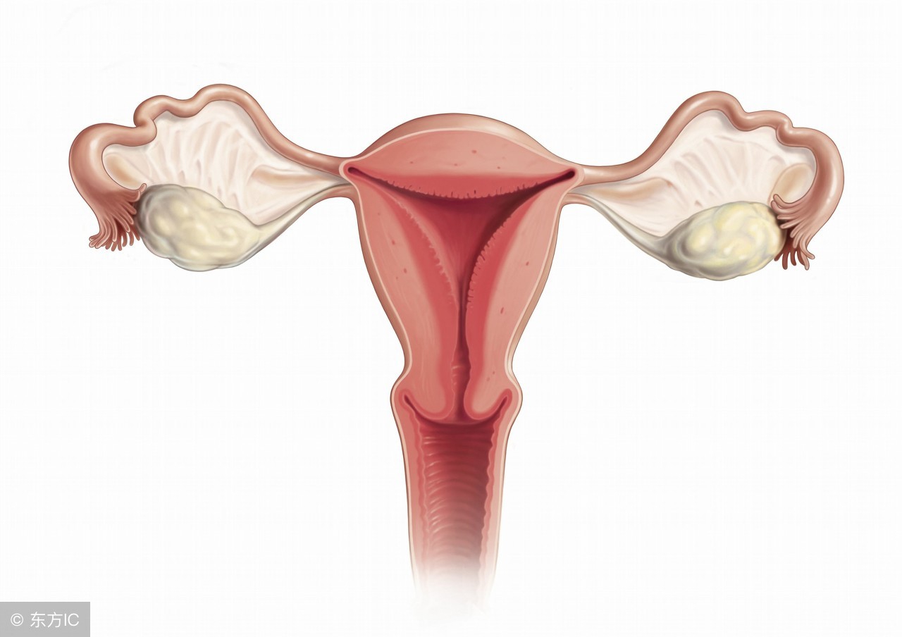 宫颈糜烂出血和宫颈癌出血的区别,如何判断是宫颈出血还是月经出血