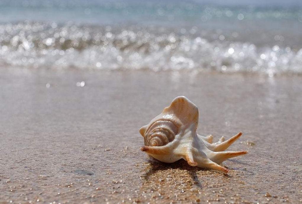 受到委屈励志美文,面对困难的美文