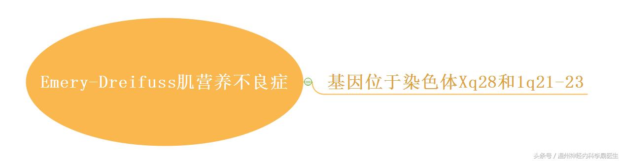 良性肌营养不良自愈的奇迹,进行性肌营养不良分型图表