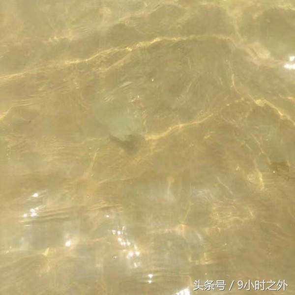 雷州乌石镇天成台度假黄金海岸,雷州乌石港景区