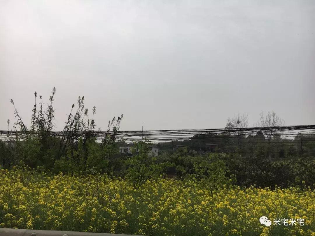 考察成都的感受,关于成都城市发展变化的调研报告