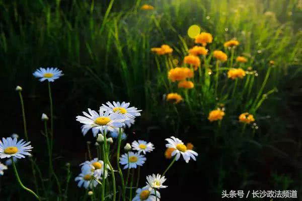 留守女童遭遇性侵的案件,留守女童被性侵事件