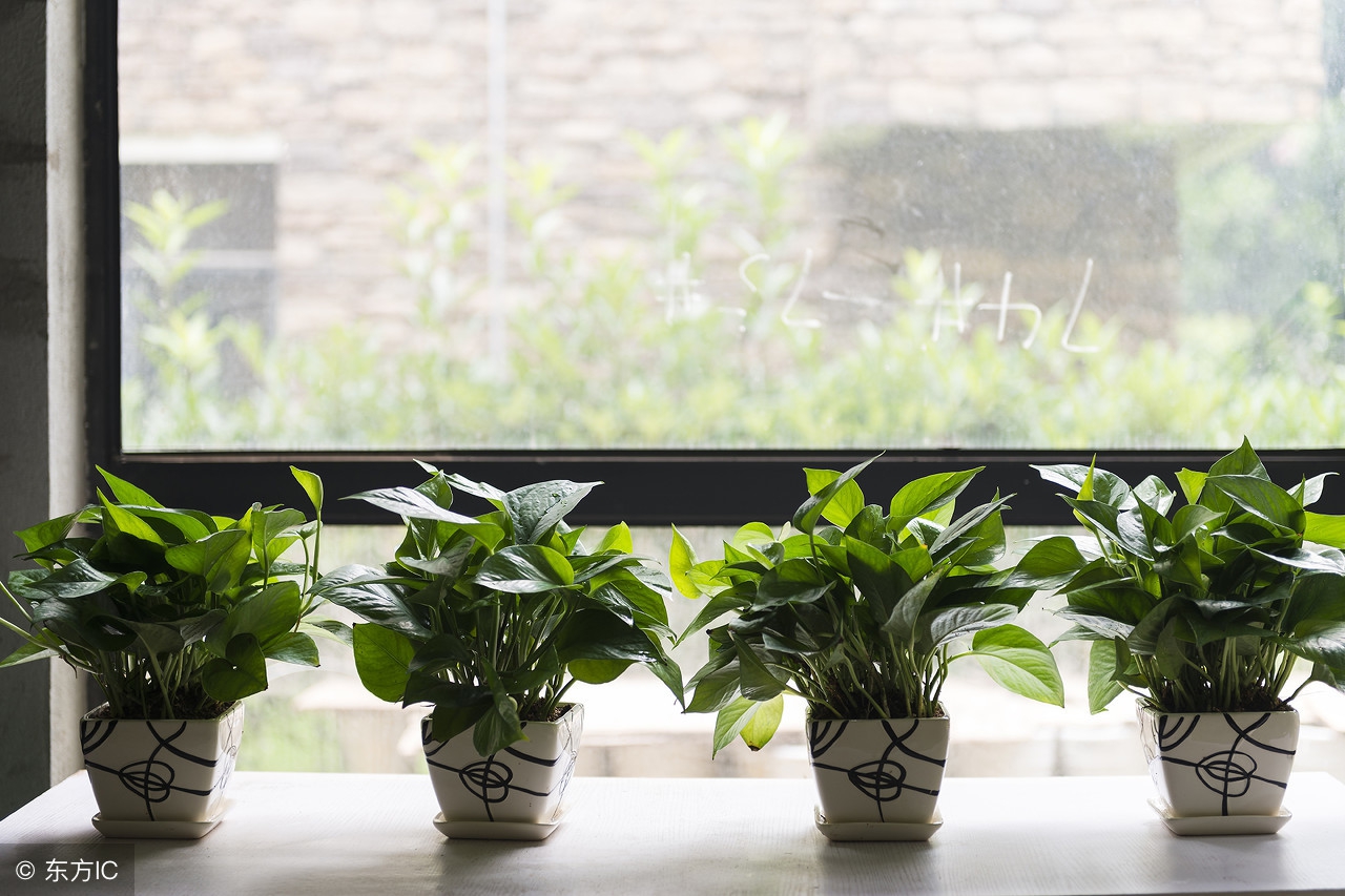 空气污染就在我们身边请警惕,空气严重污染在室内怎么办