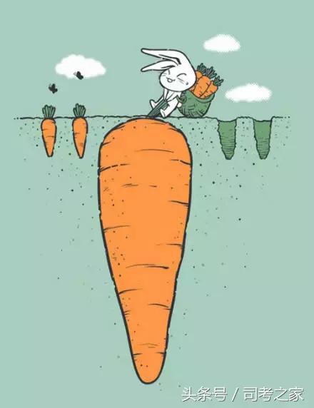 考研学姐的心酸,考研学姐心酸史