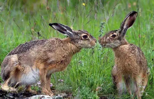 农村创业50个项目农民该怎样创业 (利润很吓人10个冷门创业项目农村)