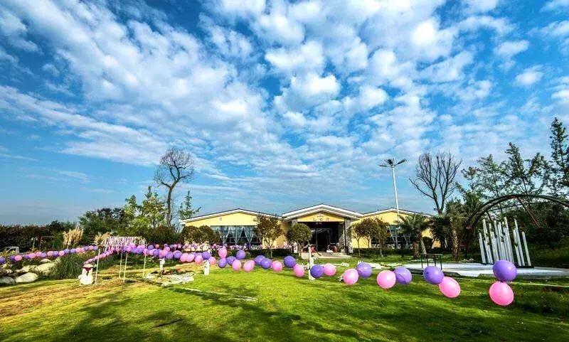 打牙祭成都,每周打牙祭