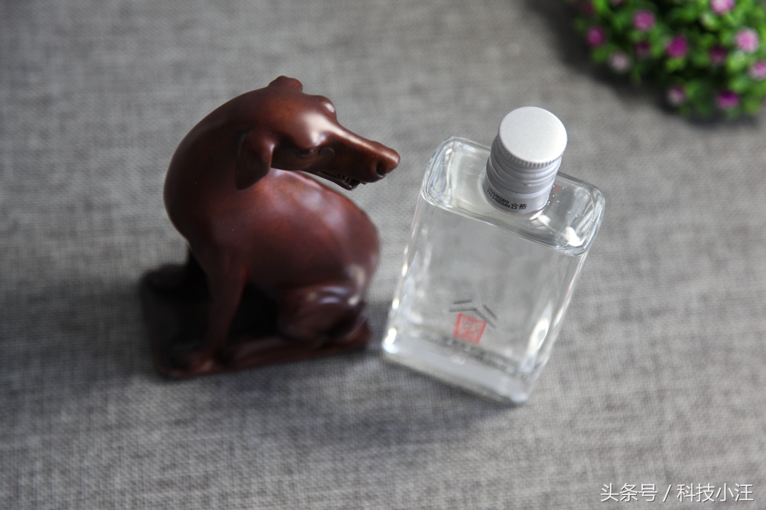 谷小酒微醺版评测,小米的谷小酒怎么样