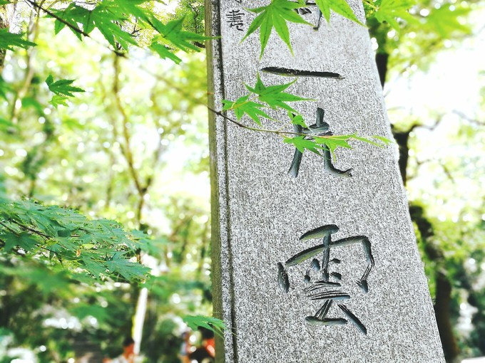 九溪虽小你却没用心体验过,别有一方风味