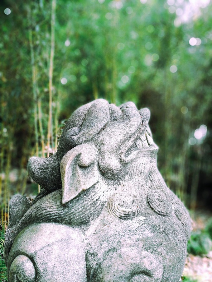 九溪虽小你却没用心体验过，别有一方风味